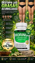 MORINGA "EL ARBOL DE LA VIDA" 🌲
