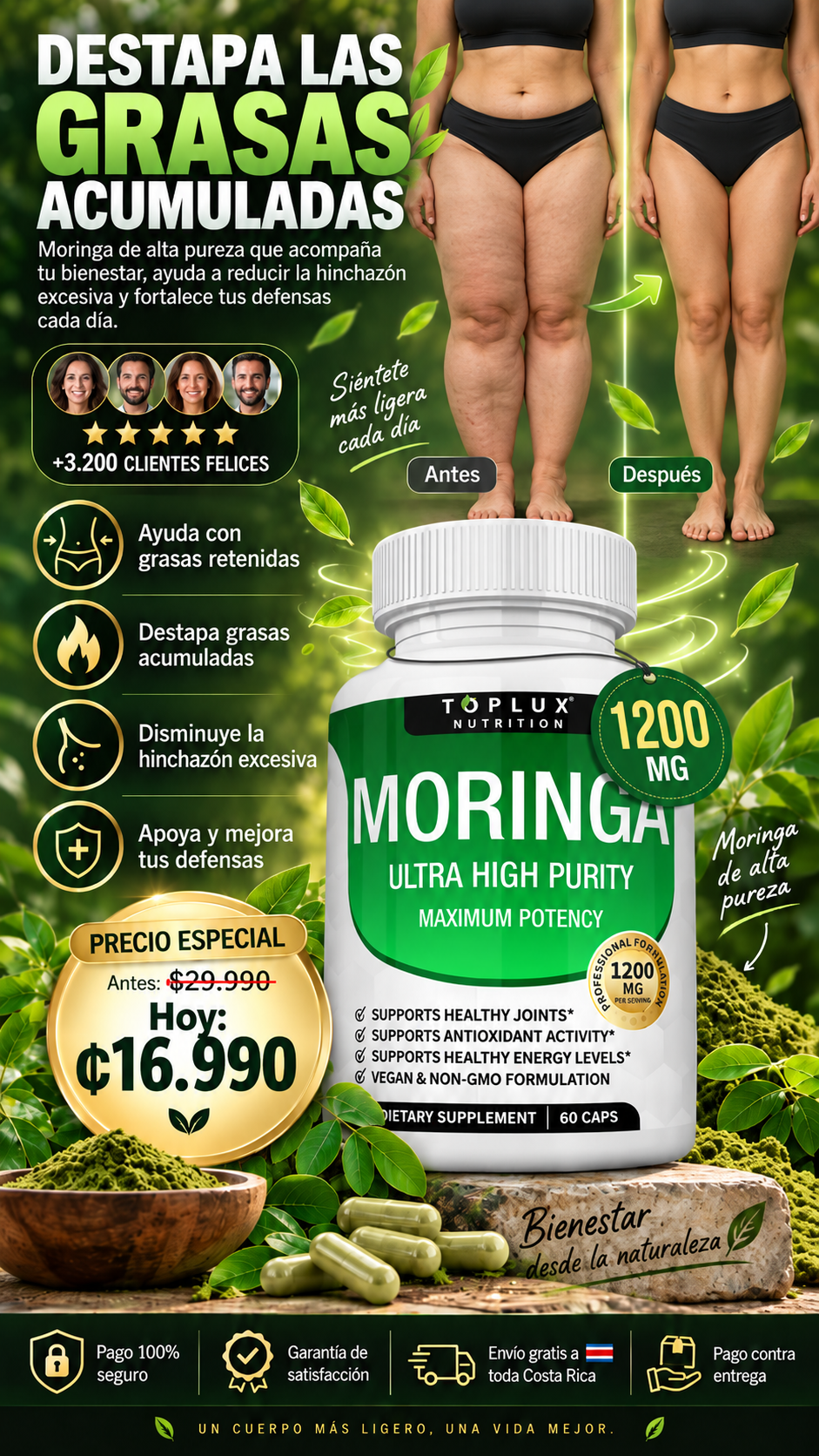 MORINGA "EL ARBOL DE LA VIDA" 🌲