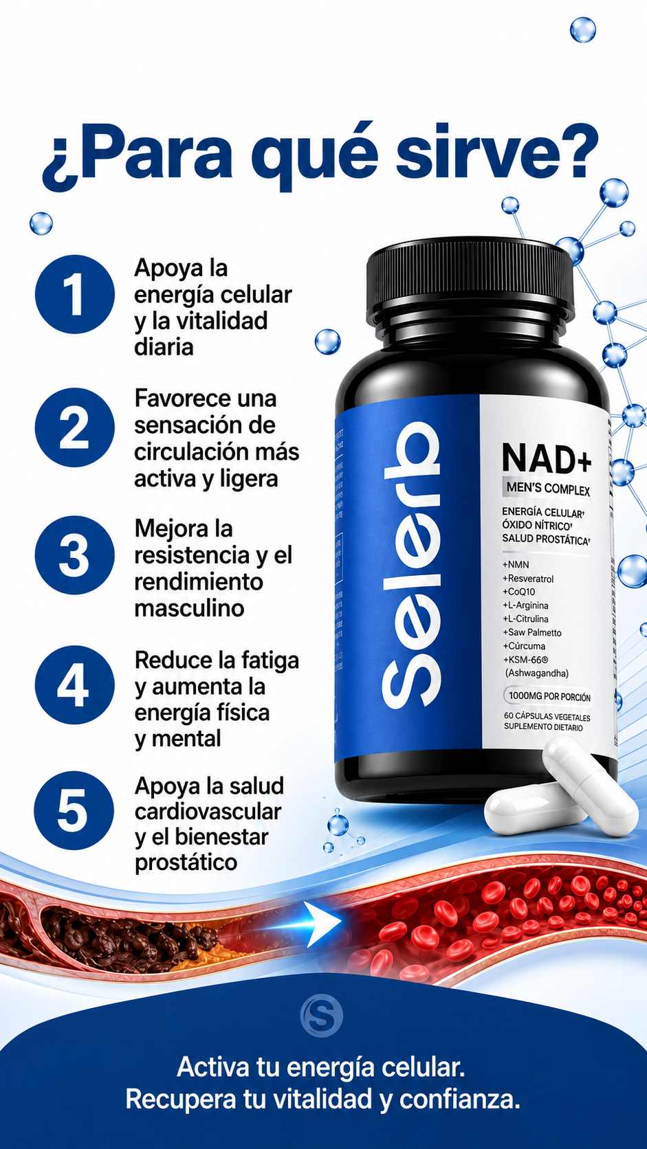 SELERB™ NAD+ | Destapa tus arterias y potencia tus circulacion sanguinea
