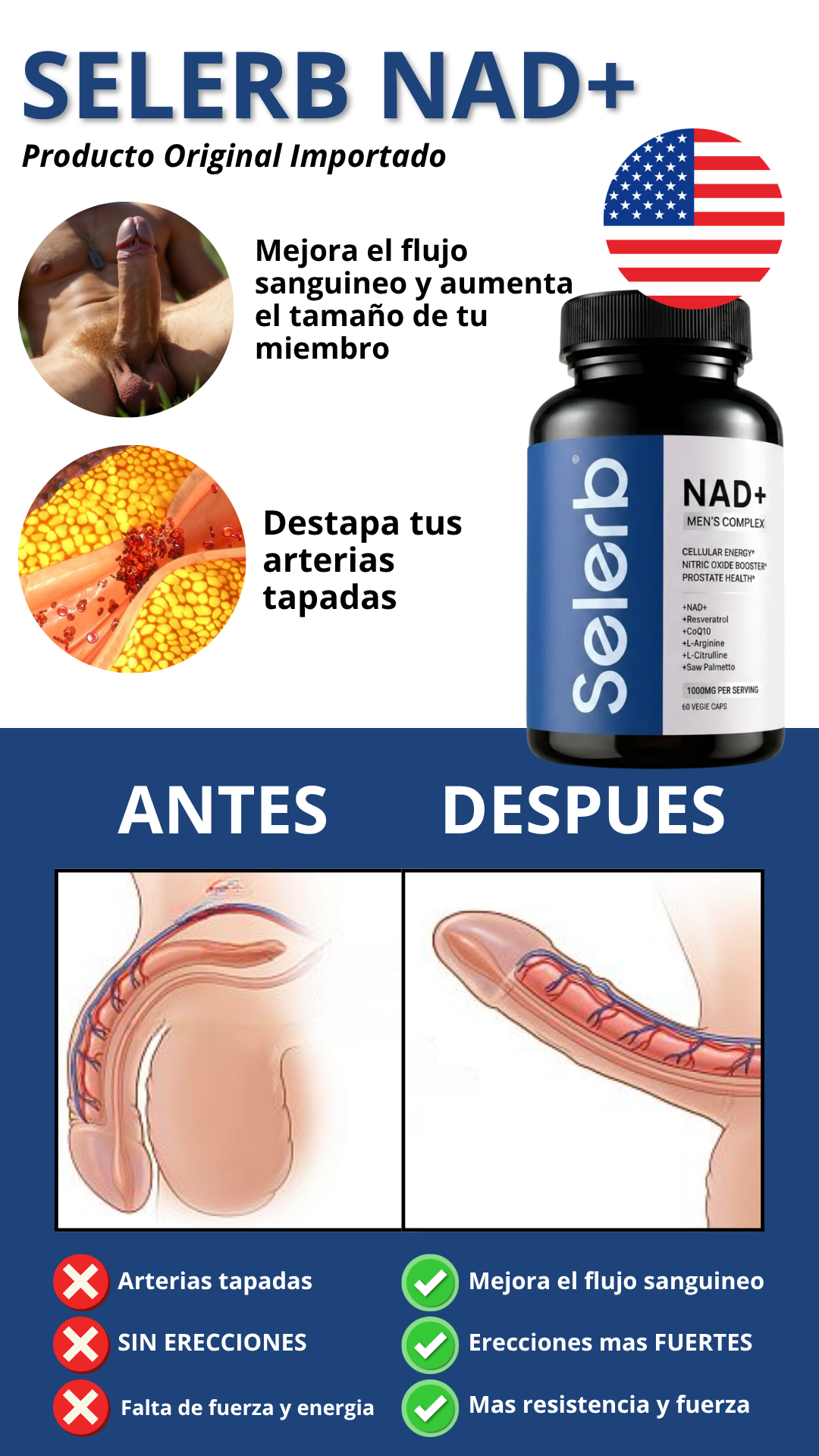 SELERB™ NAD+ | Destapa tus arterias y potencia tus circulacion sanguinea